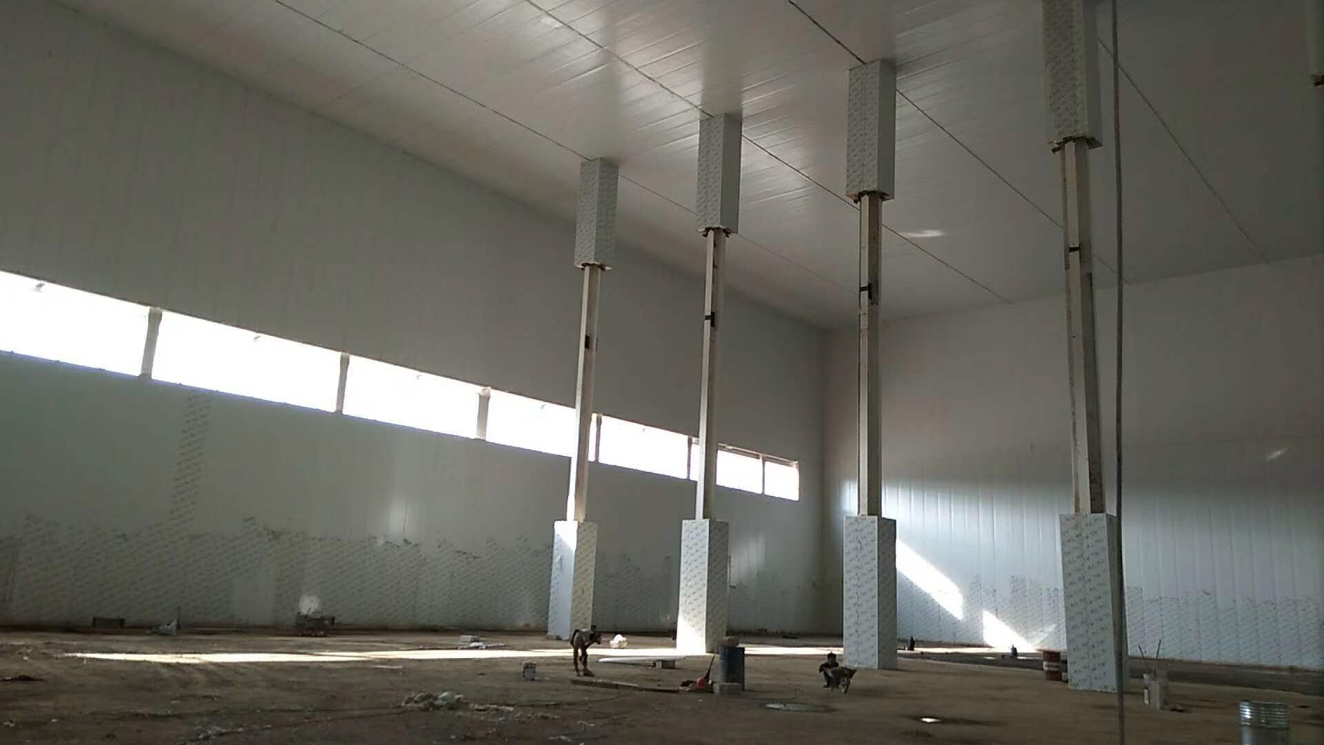 1615277504074023404.jpg 3.jpg