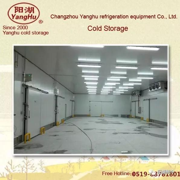 1615362224896081705.jpg FqfQAQ9TSMmL3qexdQMg8w.jpg