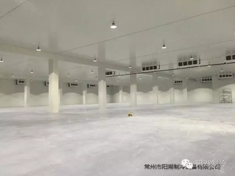 1615363105782045012.jpg 1.jpg