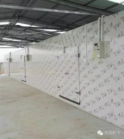 1615363112864078119.jpg 2.jpg