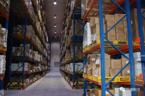 1615363134993046662.jpg 3.jpg